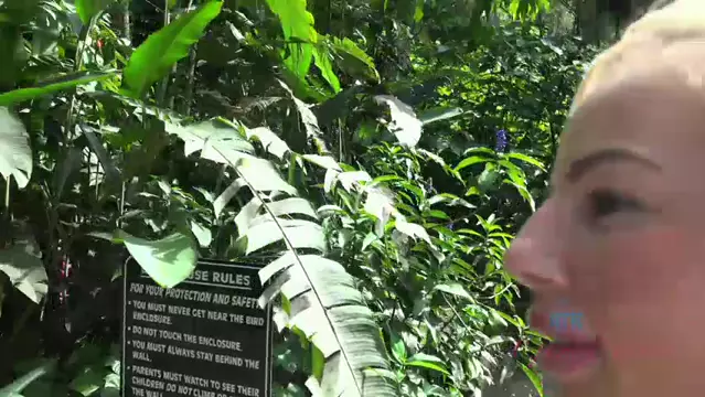 Poster: Bella Rose - Big Island 6