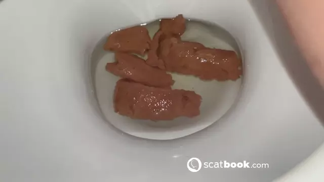 Poster: ShitSlave.com Newest Scat Posts