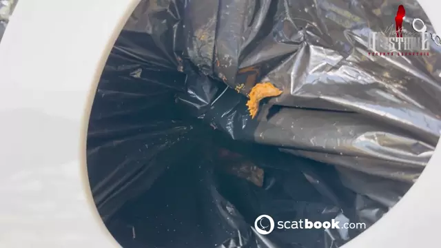 Poster: ShitSlave.com Newest Scat Posts