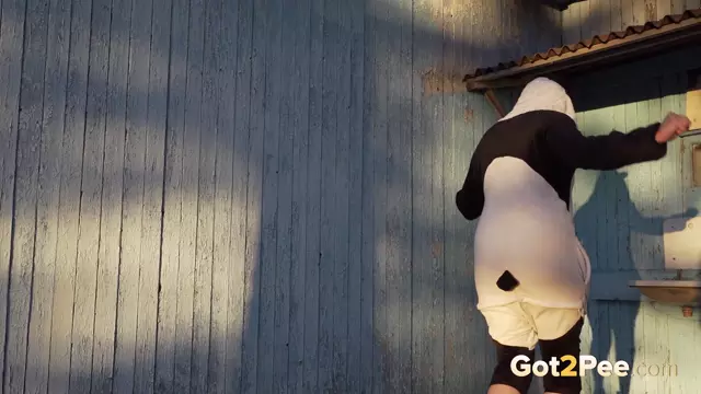 Poster: Got2Pee: Panda Pissing FullHD