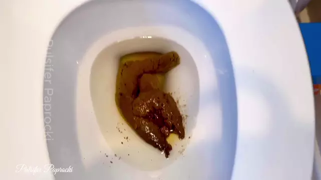 Poster: ShitSlave.com Newest Scat Posts