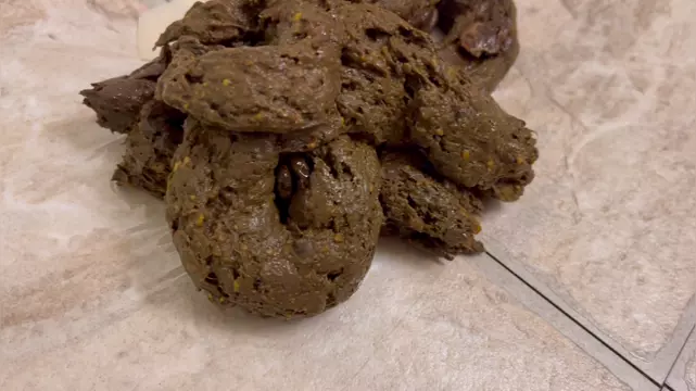 Poster: ShitSlave.com Newest Scat Posts