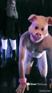 Poster: DOMINA SRENI (Ita) - How To Treat A Pig