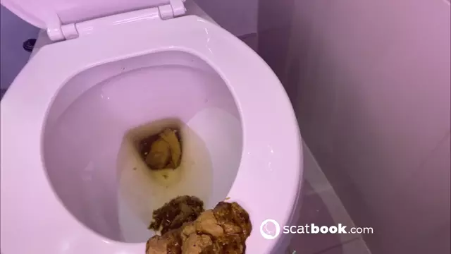 Poster: ShitSlave.com Newest Scat Posts