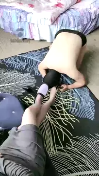 Poster: Slap playing with puppies