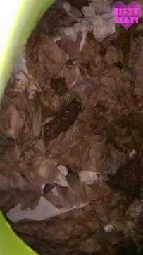 Poster: ShitSlave.com Newest Scat Posts