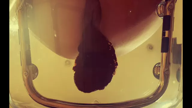 Poster: ShitSlave.com Newest Scat Posts